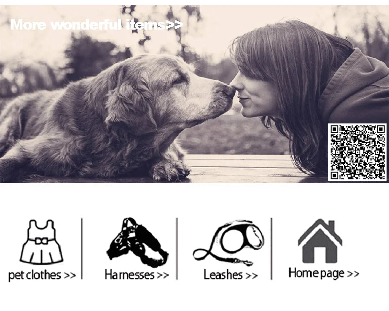 The Dog Face Waterproof Raincoat – Reflective Jumpsuit for Dogs