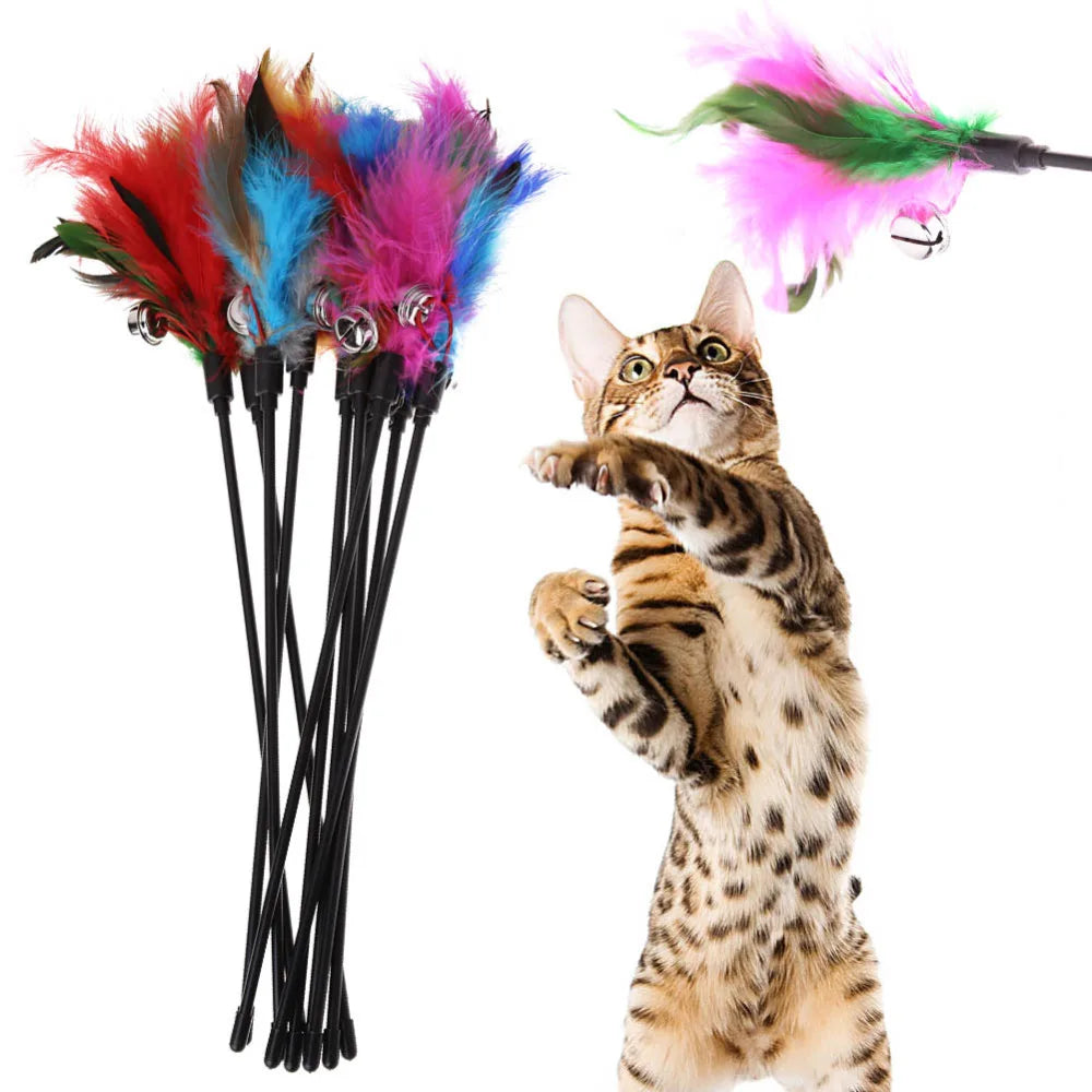 5pcs Cat Teaser Toy Set – Feather Wand & Bell Stick for Interactive Play