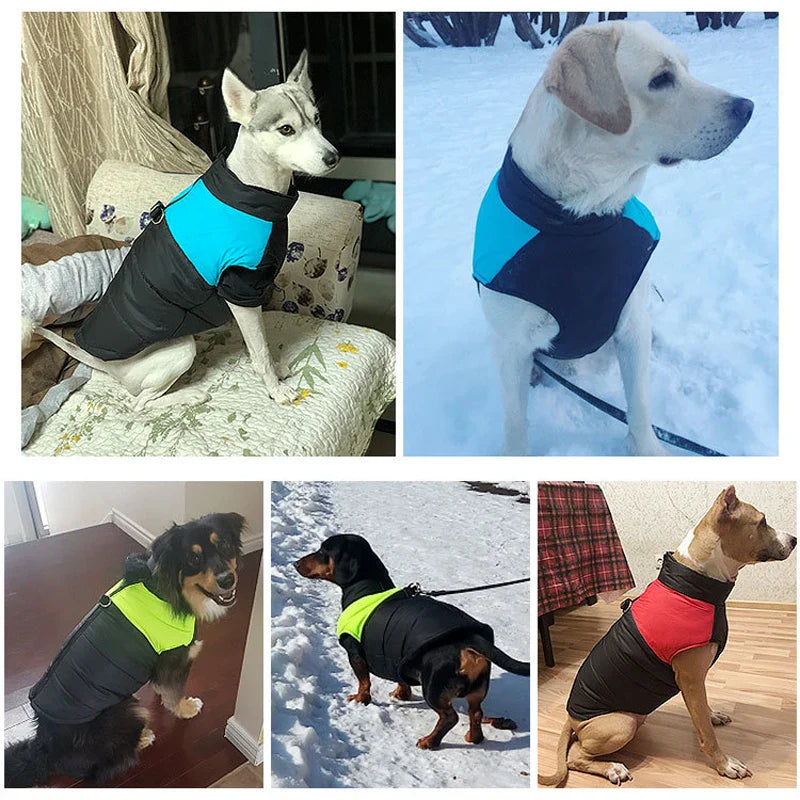 Winter Dog Coat – Warm Waterproof Pet Jacket for Small, Medium & Large Dogs