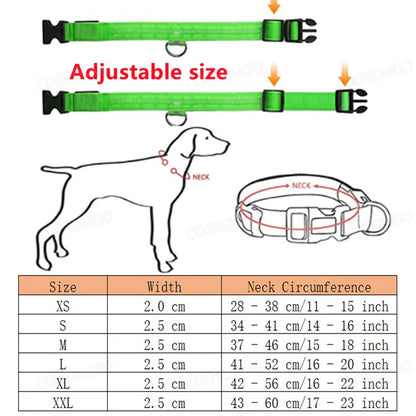 LED Dog Collar – Night Safety Detachable