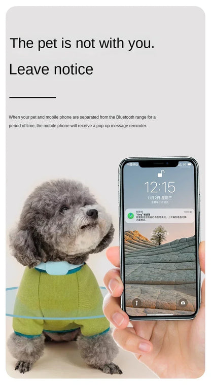 Waterproof Mini Pet GPS Tracker – Remote Global Locator Collar