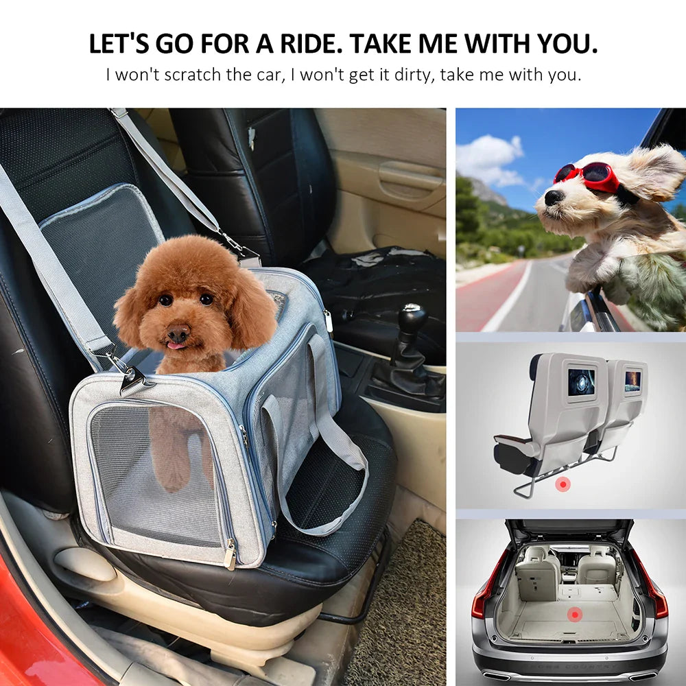 Soft Side Dog & Cat Carrier – Airline Approved