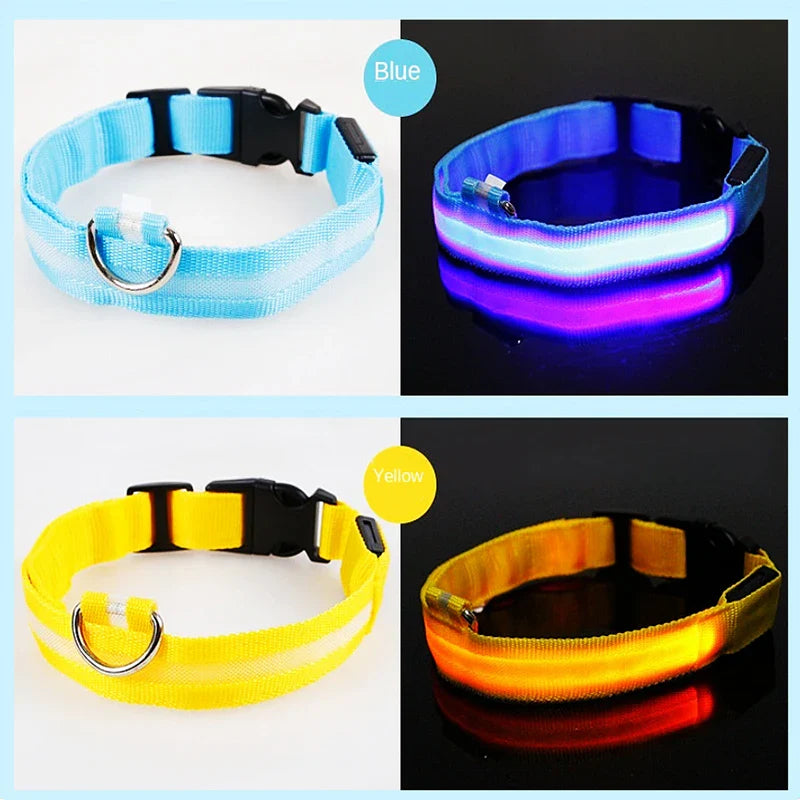 LED Dog Collar – Night Safety Detachable
