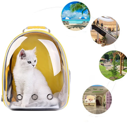 Transparent Cat Capsule Backpack – Travel Bag