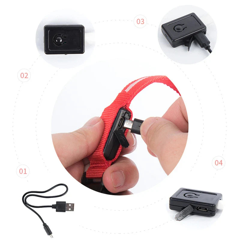 LED Dog Collar – Night Safety Detachable