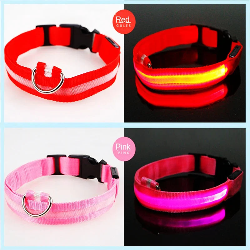 LED Dog Collar – Night Safety Detachable
