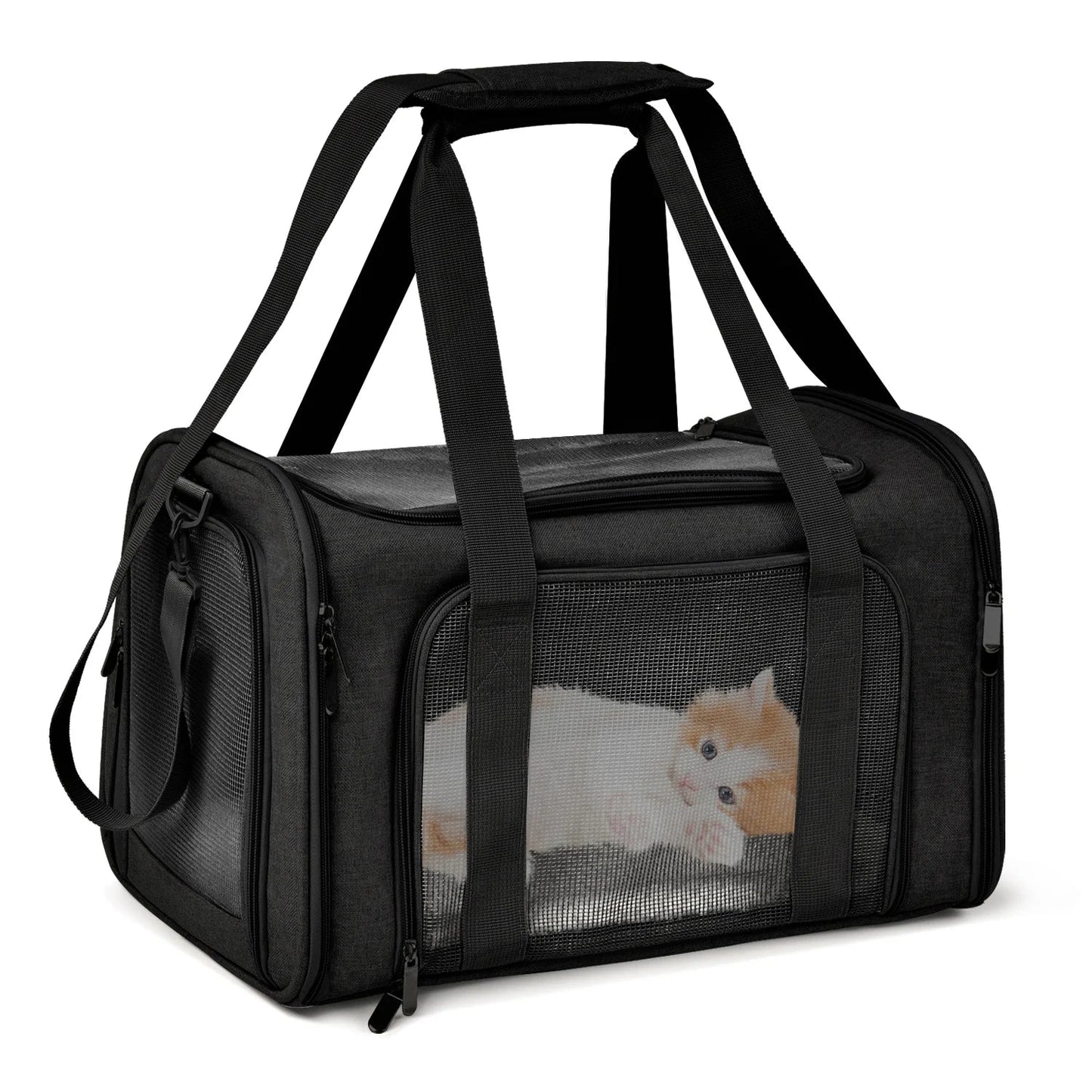 Soft Side Dog & Cat Carrier – Airline Approved