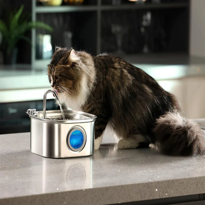 3.2L Stainless Steel Pet Water Feeder