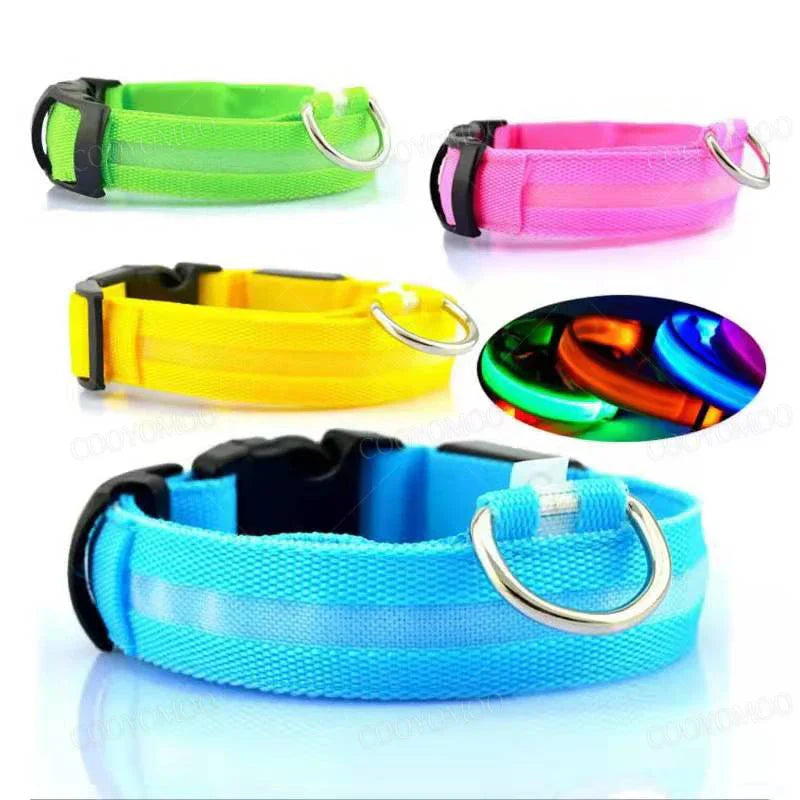 LED Dog Collar – Night Safety Detachable