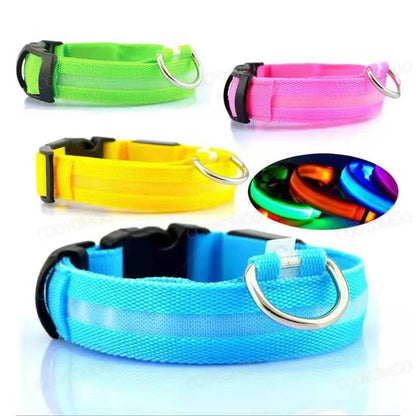 LED Dog Collar – Night Safety Detachable