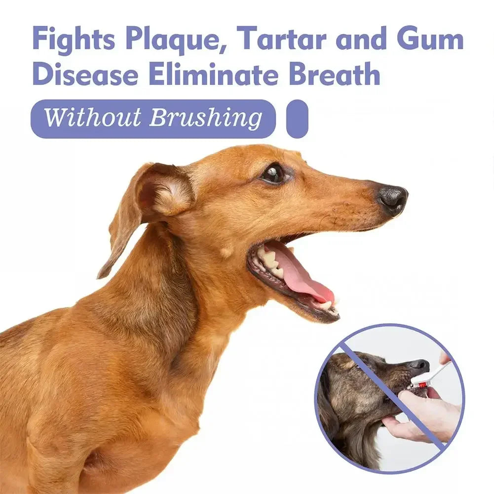 Pet Teeth Cleaning Spray – Anti-Tartar & Bad Breath Oral Care