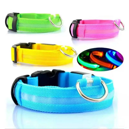 LED Dog Collar – Night Safety Detachable