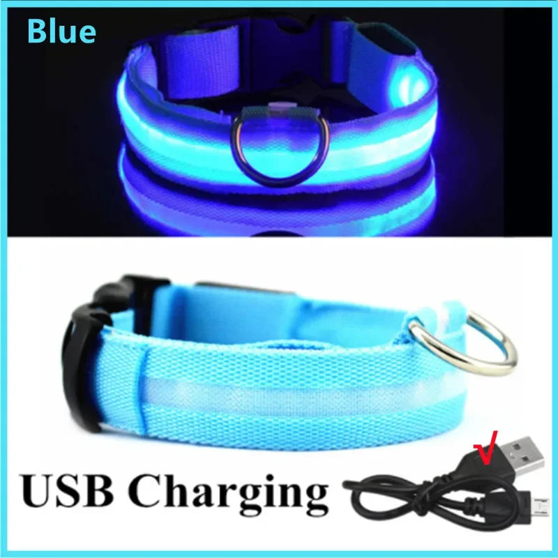 LED Dog Collar – Night Safety Detachable