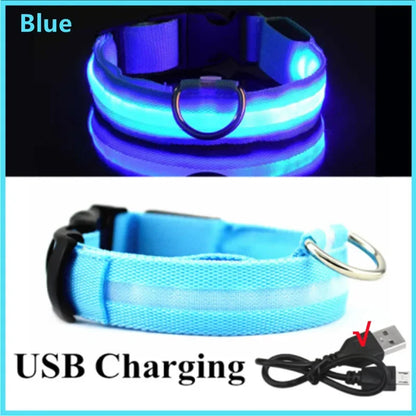 LED Dog Collar – Night Safety Detachable