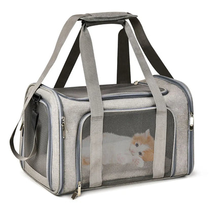 Soft Side Dog & Cat Carrier – Airline Approved