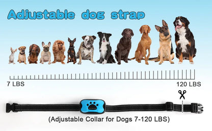 Anti-Bark Dog Training Collar – Rechargeable Ultrasonic Device