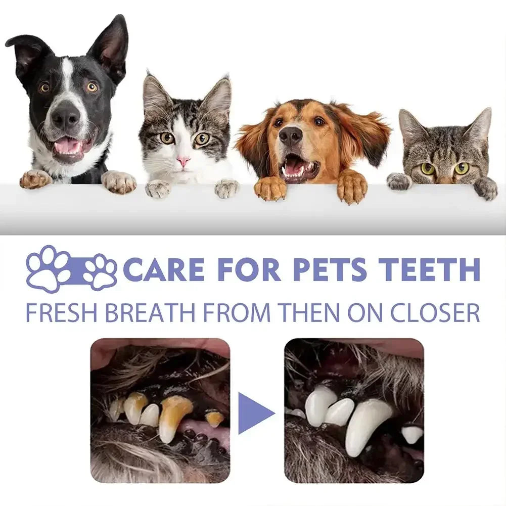 Pet Teeth Cleaning Spray – Anti-Tartar & Bad Breath Oral Care