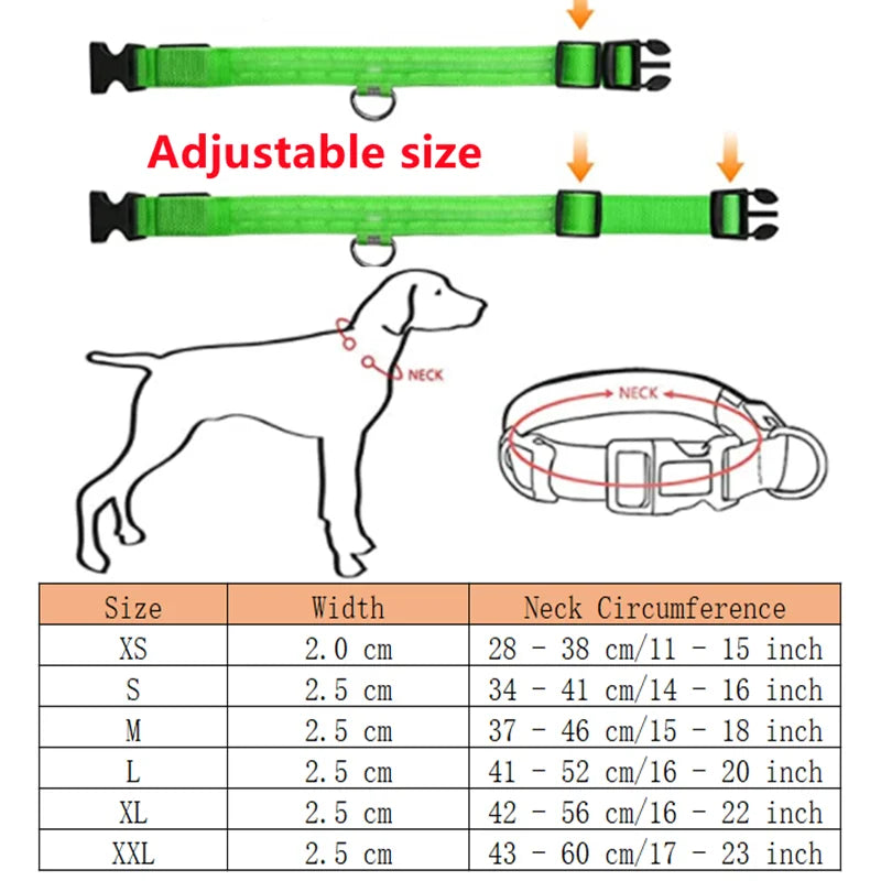 LED Dog Collar – Night Safety Detachable