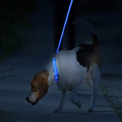 LED Dog Collar – Night Safety Detachable