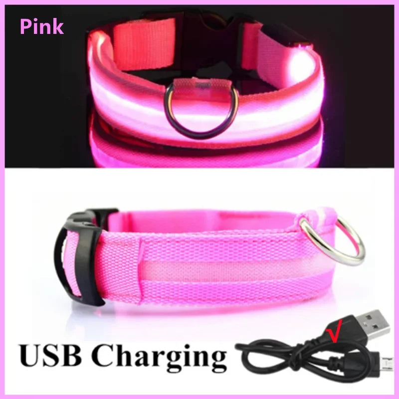 LED Dog Collar – Night Safety Detachable