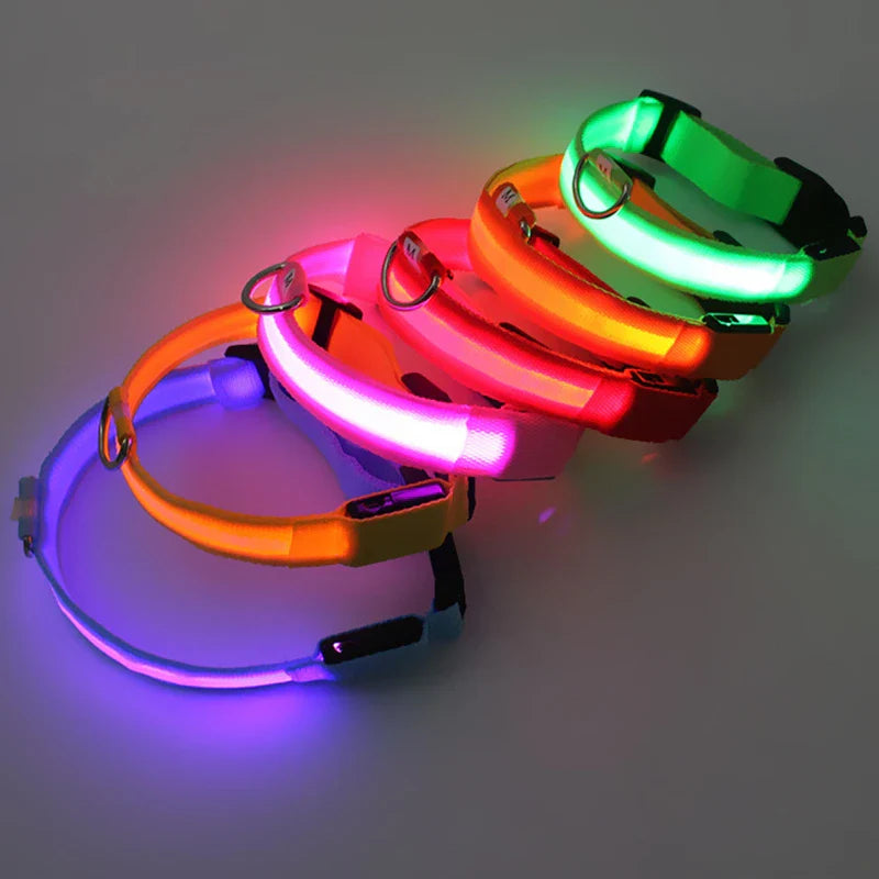 LED Dog Collar – Night Safety Detachable
