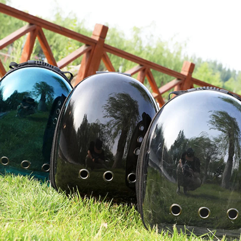 Transparent Cat Capsule Backpack – Travel Bag