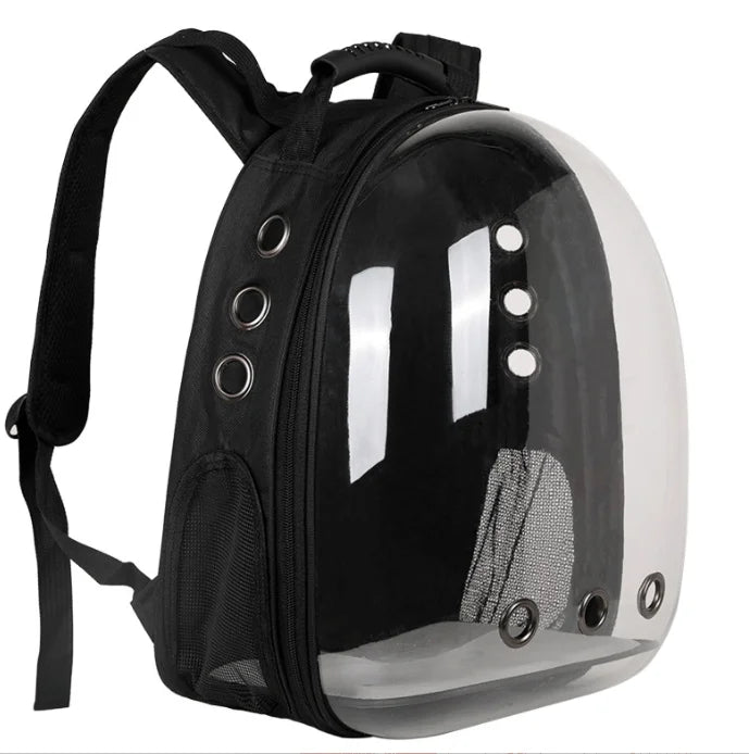 Transparent Cat Capsule Backpack – Travel Bag