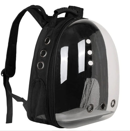 Transparent Cat Capsule Backpack – Travel Bag