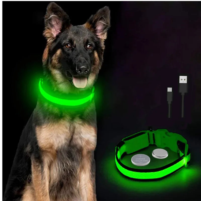 LED Dog Collar – Night Safety Detachable
