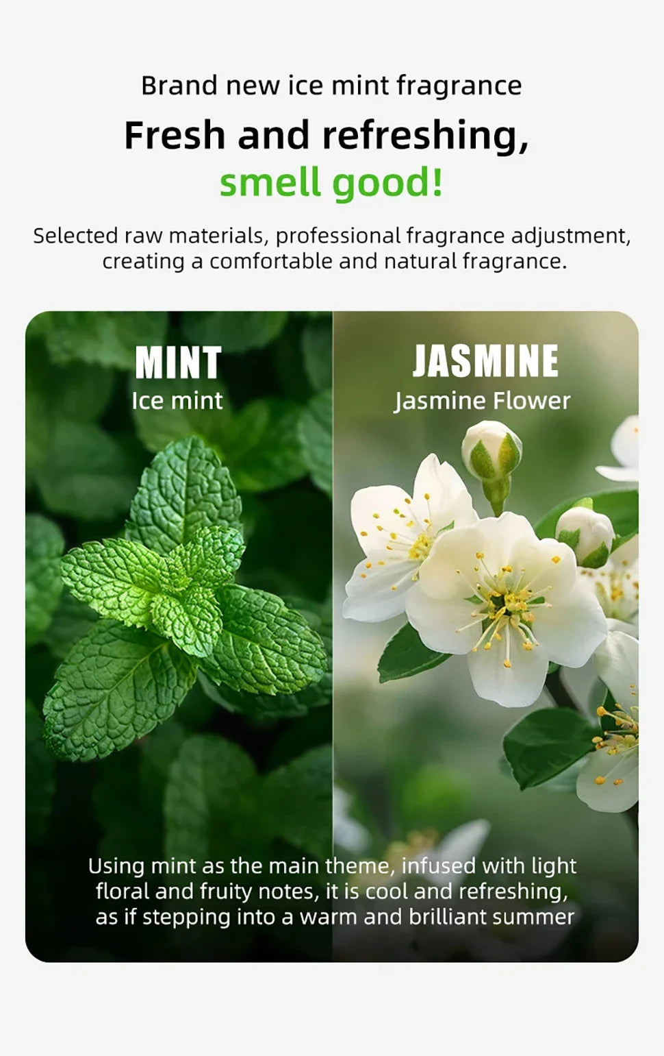 N50 Deodorant Cubes – PuraMax Cat Litter