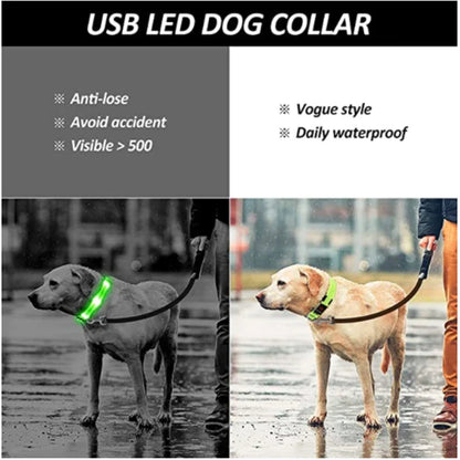 LED Dog Collar – Night Safety Detachable