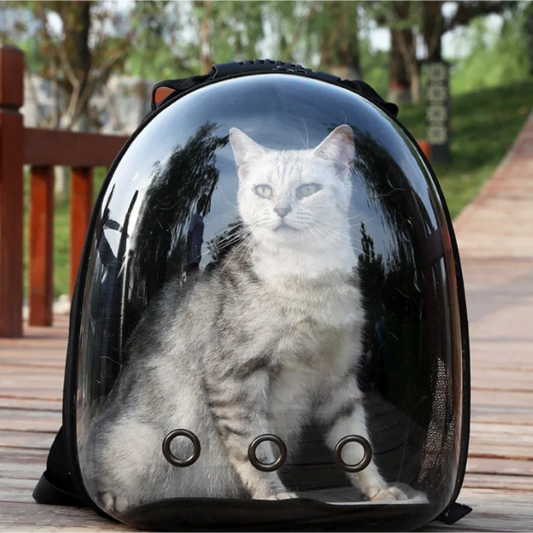 Transparent Cat Capsule Backpack – Travel Bag