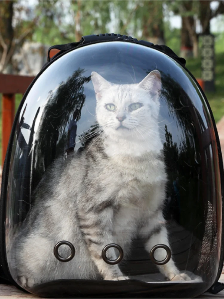 Transparent Cat Capsule Backpack – Travel Bag