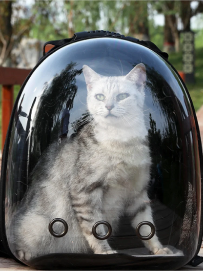 Transparent Cat Capsule Backpack – Travel Bag