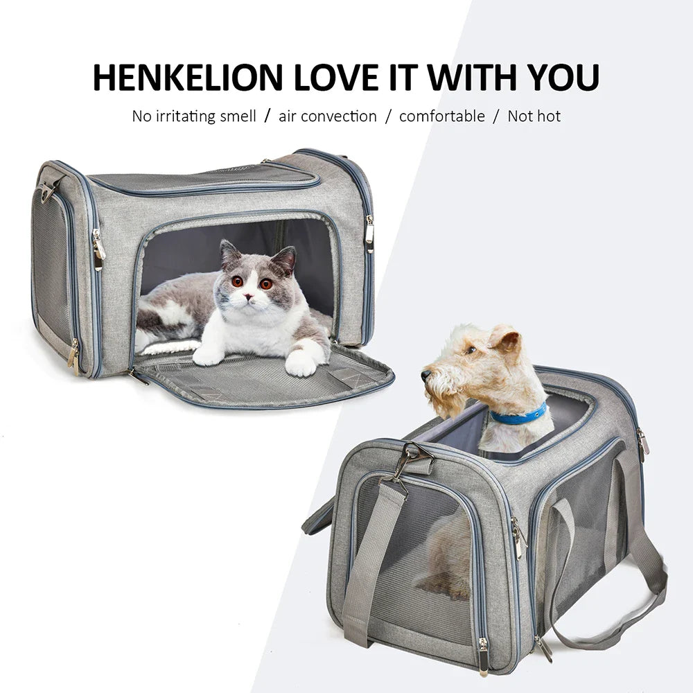 Soft Side Dog & Cat Carrier – Airline Approved