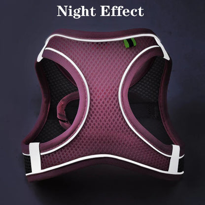 Reflective Cat & Dog Harness Vest