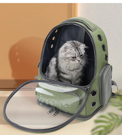 Transparent Cat Travel Backpack Carrier