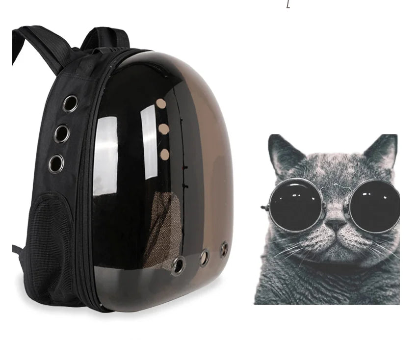 Transparent Cat Capsule Backpack – Travel Bag