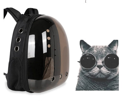 Transparent Cat Capsule Backpack – Travel Bag