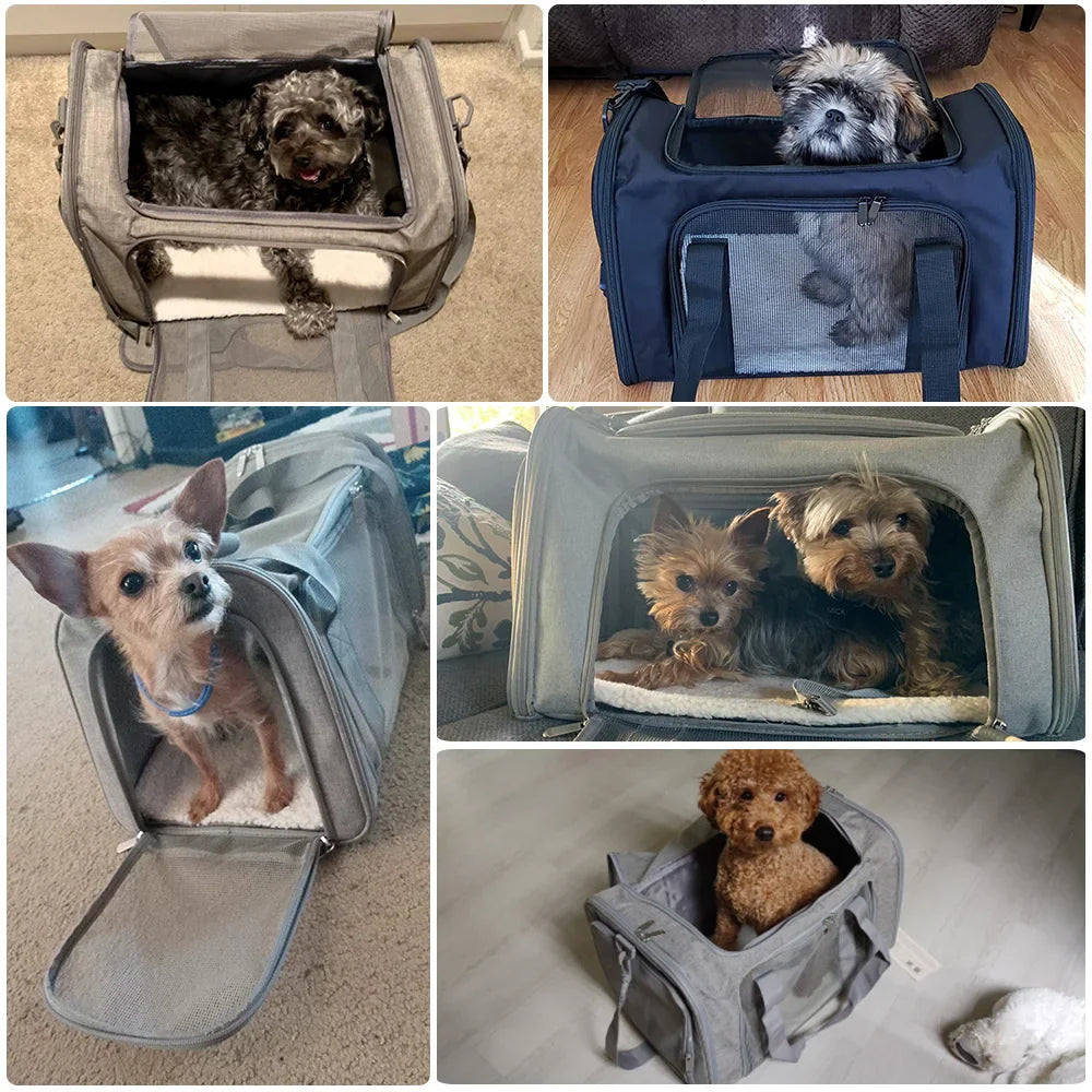 Soft Side Dog & Cat Carrier – Airline Approved