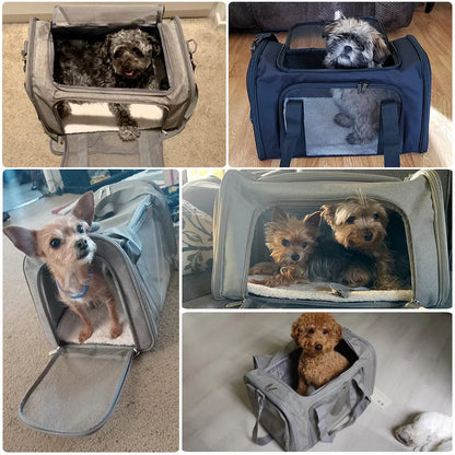 Soft Side Dog & Cat Carrier – Airline Approved