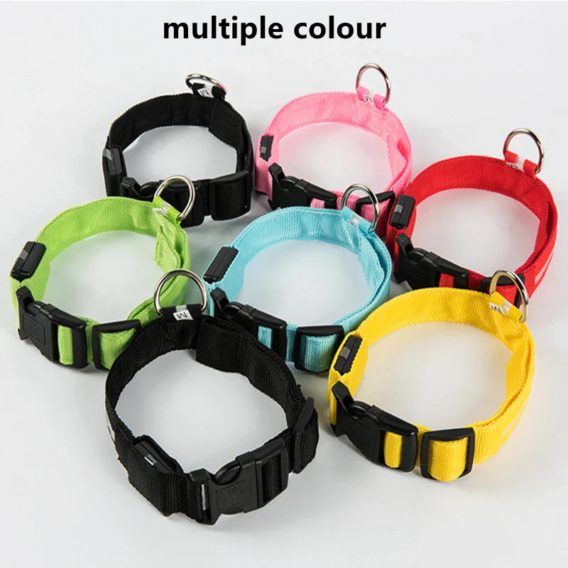 LED Dog Collar – Night Safety Detachable