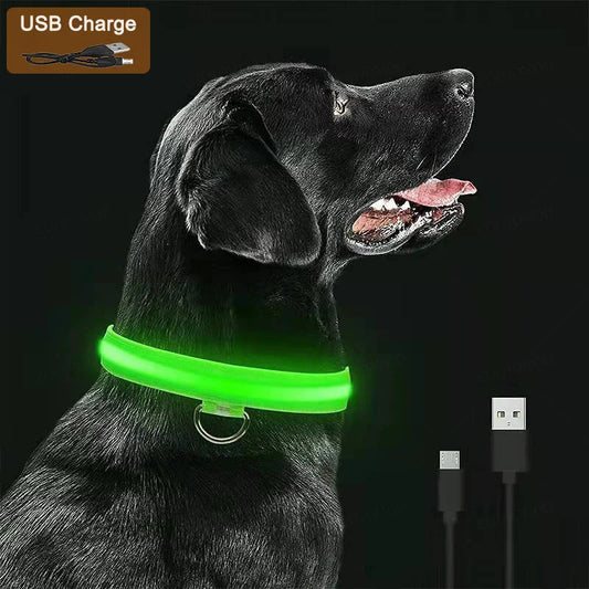 LED Dog Collar – Night Safety Detachable