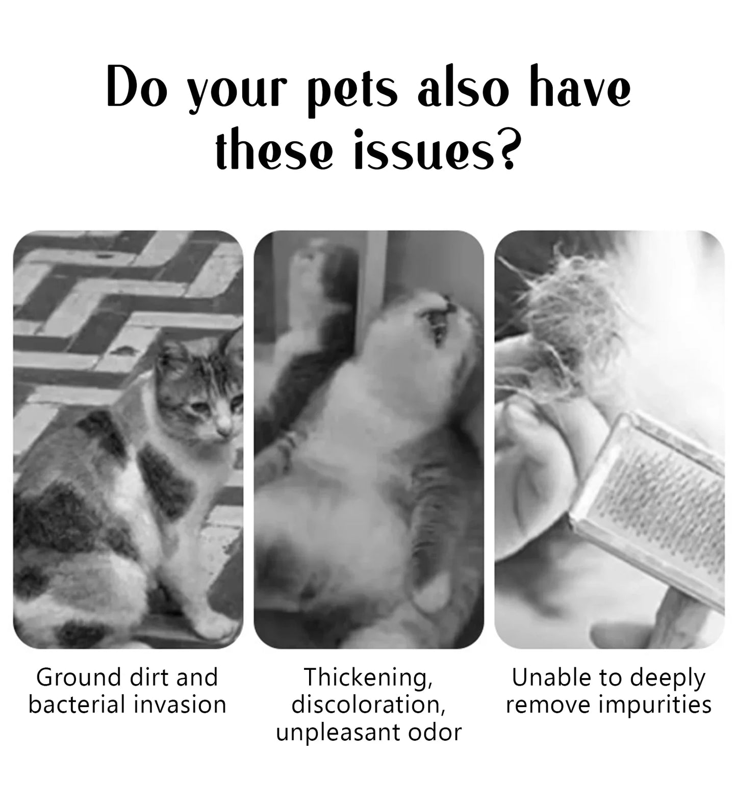 USB Dog Steam Massage Comb – Soft Teeth