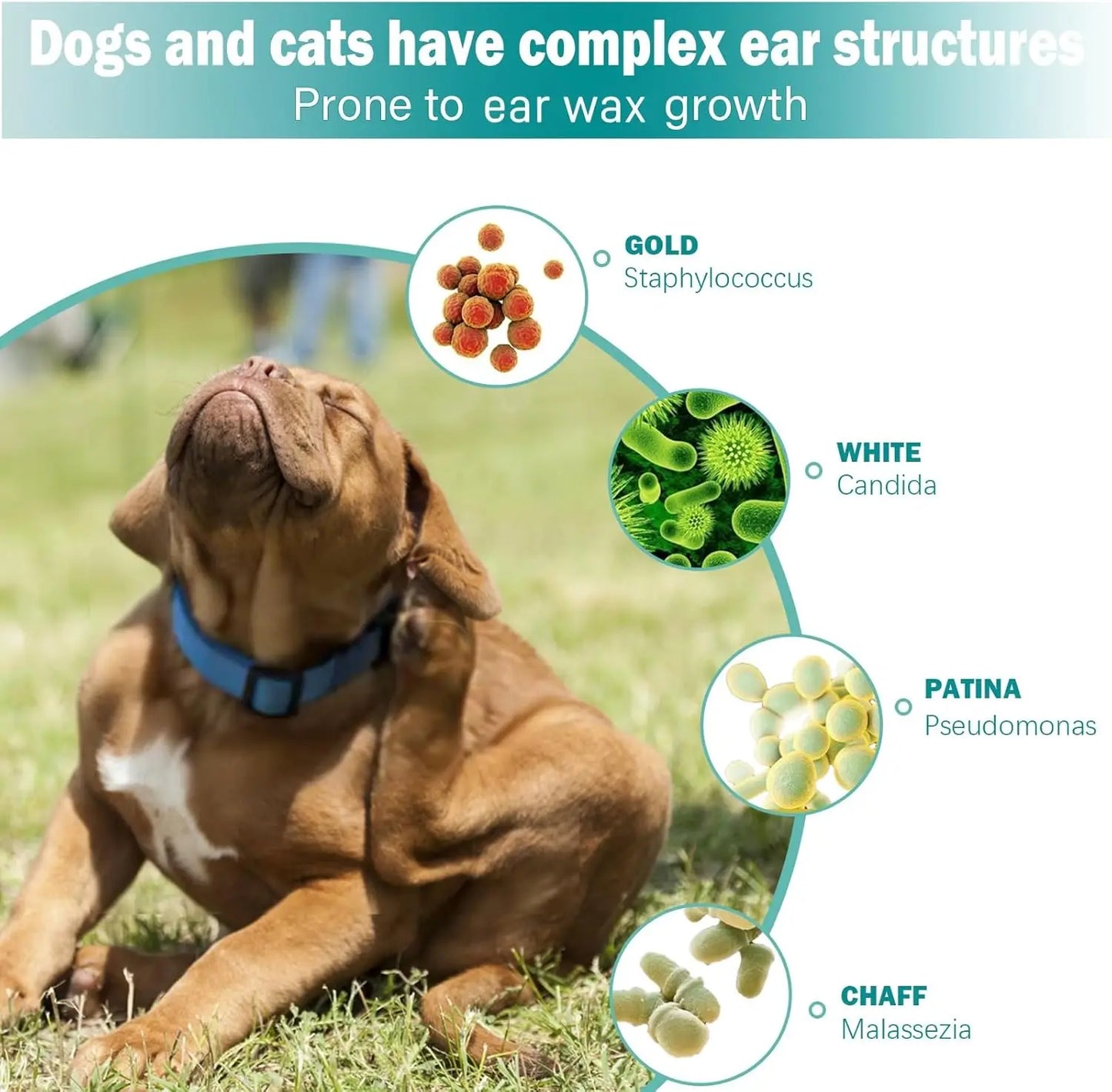 Pet Ear Wipes – Finger Pads for Cats & Dogs