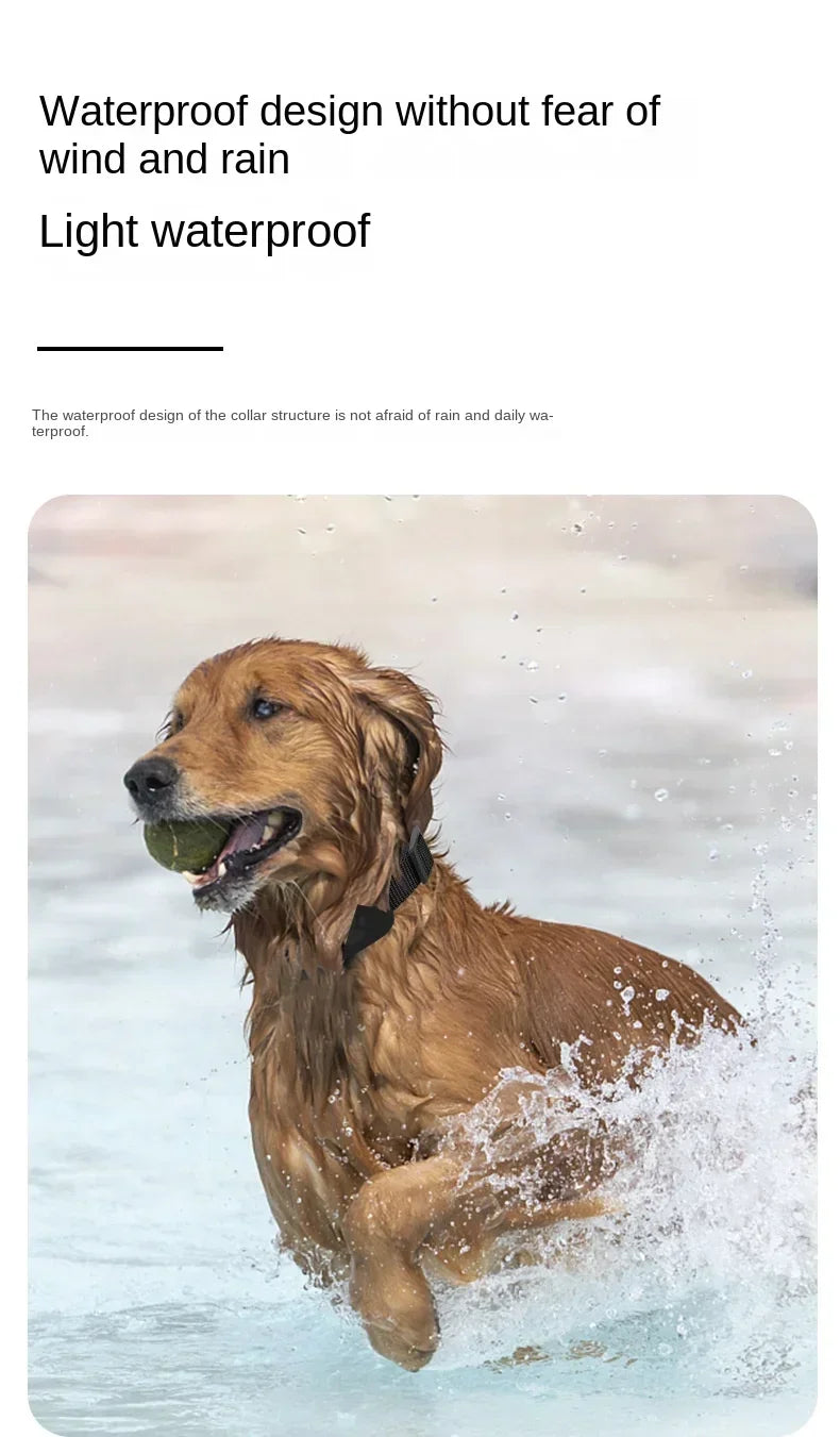 Waterproof Mini Pet GPS Tracker – Remote Global Locator Collar